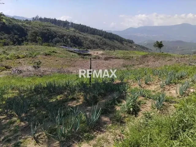 VENTA FINCA en Lobatera - 9