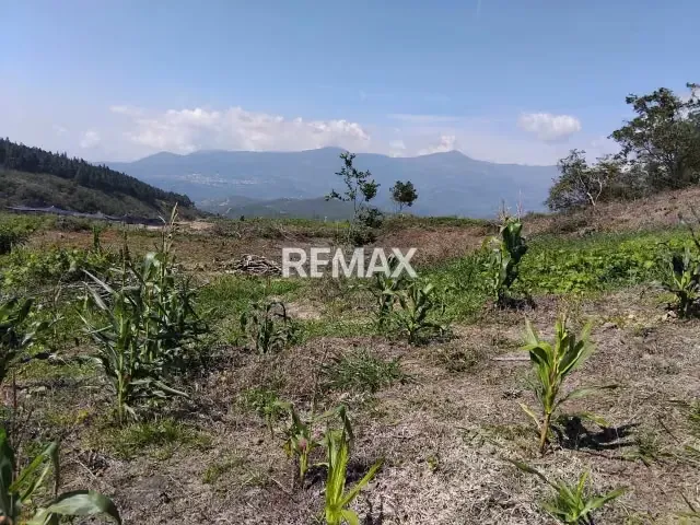 VENTA FINCA en Lobatera - 10