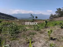 Vista 10