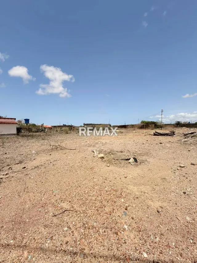 TERRENO EN SECTOR GUTACARAL, MUNICIPIO DIAZ, ISLA DE MARGARITA LOTE A-11 - 9