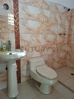 Vista 11