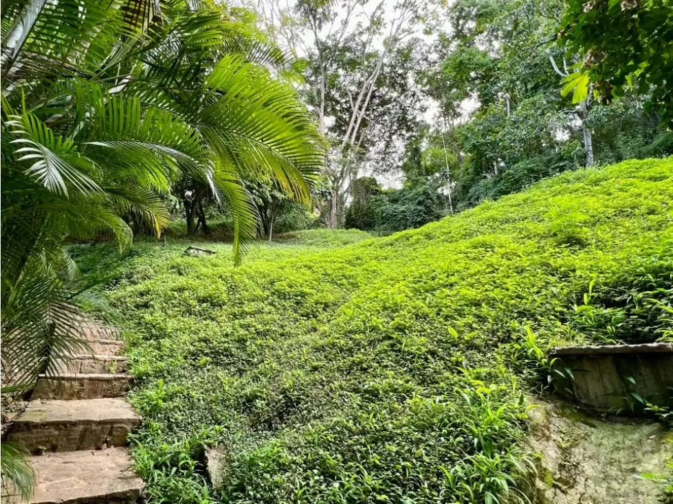 Casa en Venta Colinas del Tamanaco Baruta - Caracas - 45