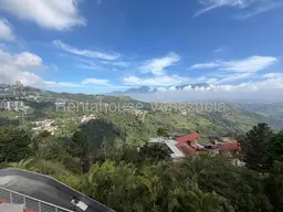 Vista 39