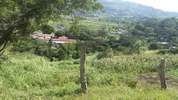 Vista 5