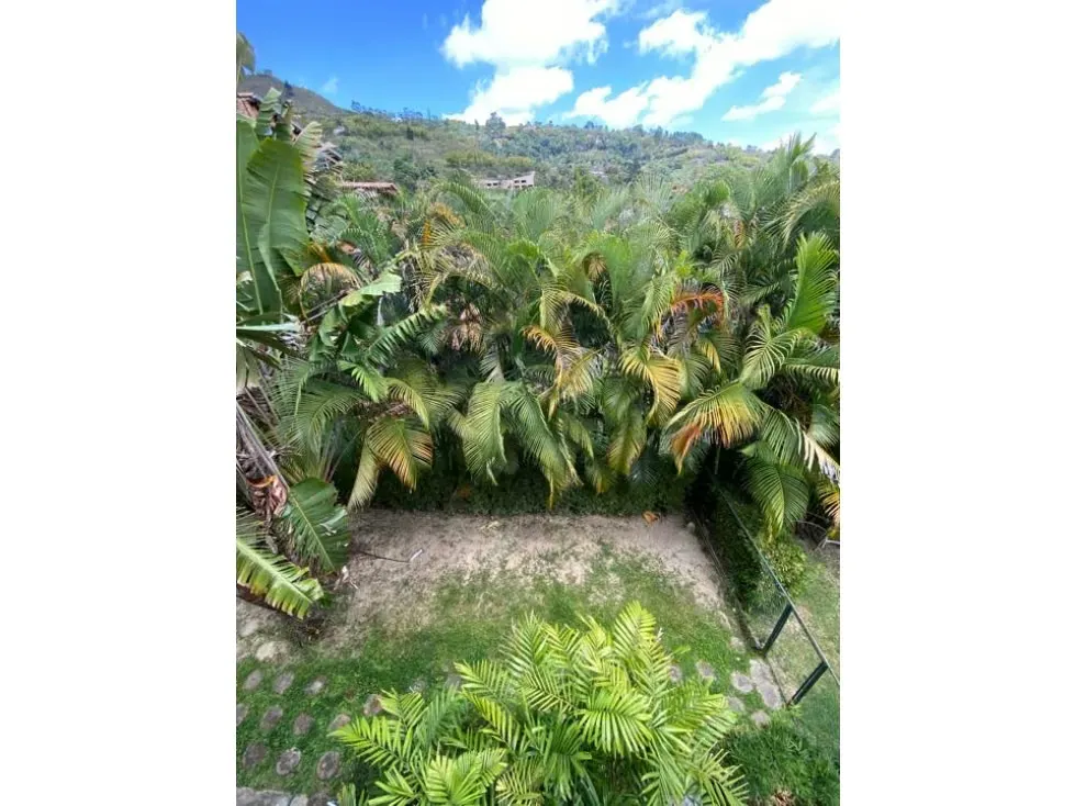Vendo/alquilo apartamento 293m2 Oripoto 9936 - 35