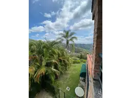 Vista 36
