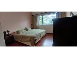 Vista 19