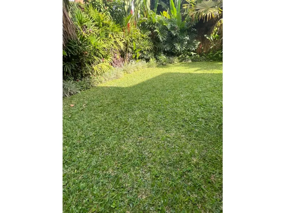 Vendo quinta 400m2 Alta Florida 1969 - 21
