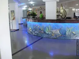 Vista 13