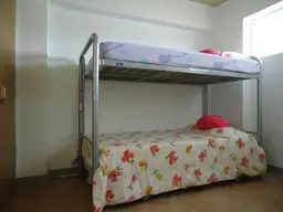 Vista 14
