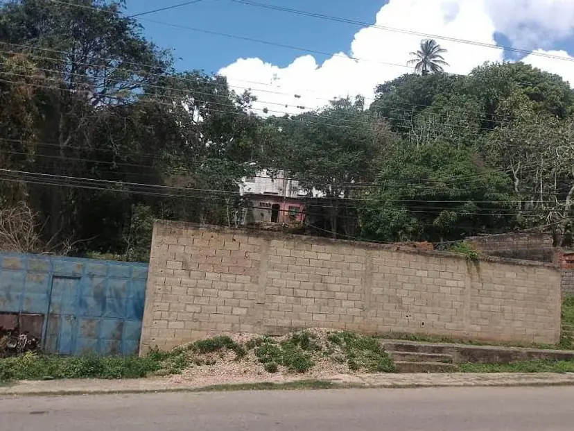 Terreno en venta en La Asuncion Sector El Copey