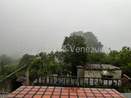 View 14
