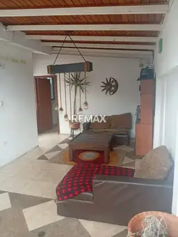 Vista 19