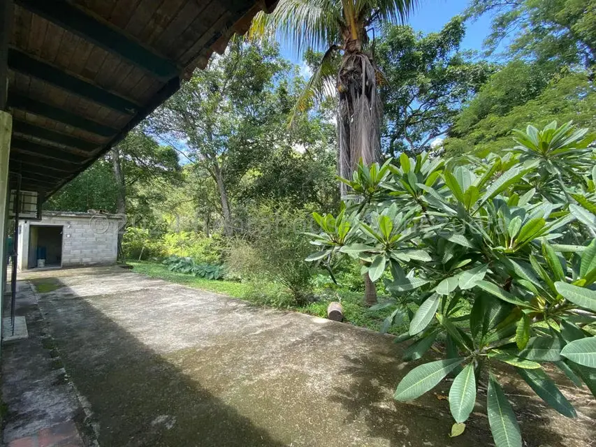 Casa (1 Nivel) en Venta en Villa Virginia, Aragua - 15