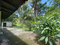 View 15