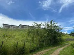 View 27