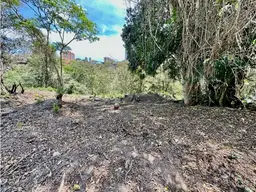 View 8