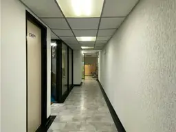Vista 5