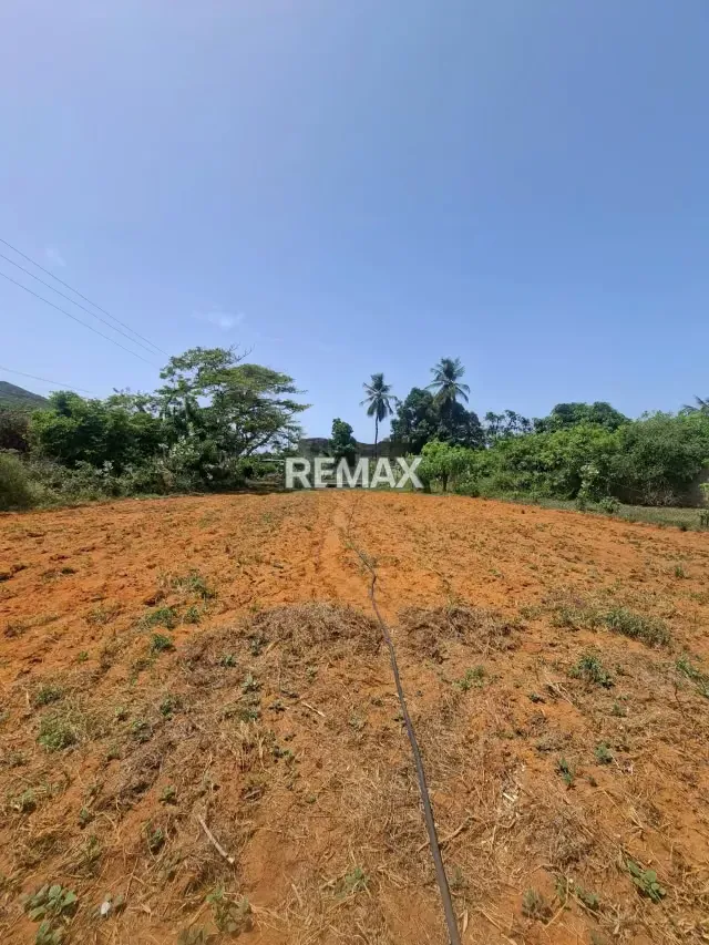 EN VENTA AMPLIO TERRENO EN EL TIRANO