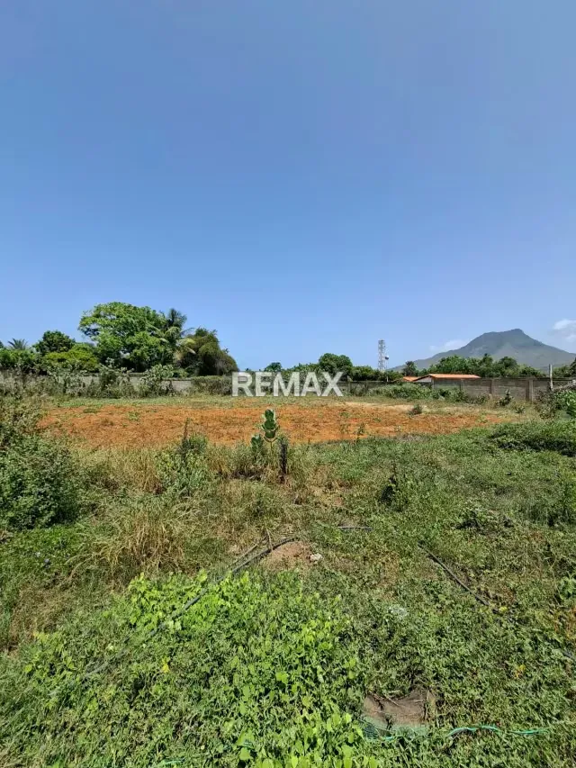 EN VENTA AMPLIO TERRENO EN EL TIRANO - 7