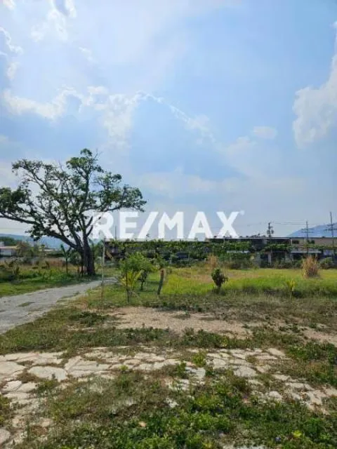 Venta De Terreno En San Diego 6000 M2. - 2