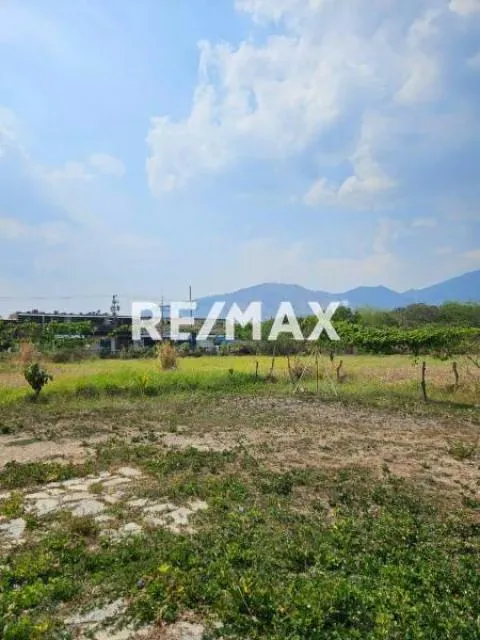 Venta De Terreno En San Diego 6000 M2. - 3