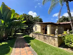 Vista 4