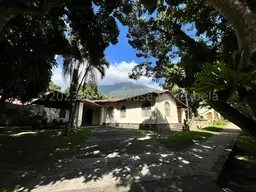 Vista 6