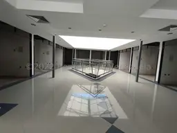 Vista 19