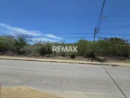 View 15