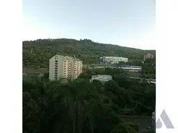 View 13