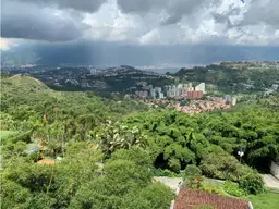 Vista 12