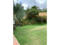 Vista 14