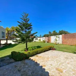 Vista 2
