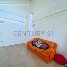 Vista 23