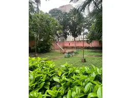Vista 19