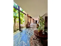 Vista 11