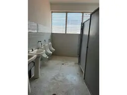 Vista 15