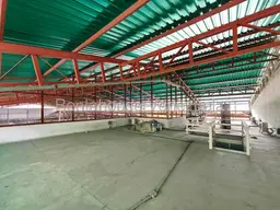 Vista 33