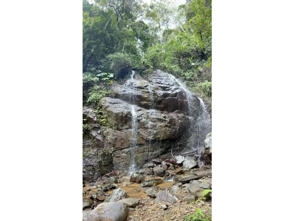 Se vende Terreno 134.814m² Sierra Bonita - 11