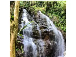 Vista 12