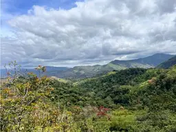Vista 9