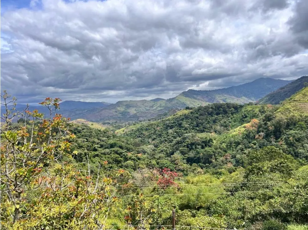 Se vende Terreno 134.814m² Sierra Bonita - 10