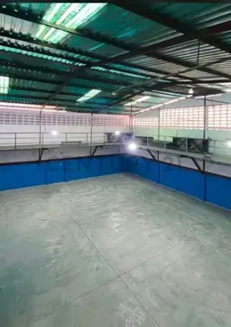 Vista 4