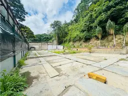 Vista 5