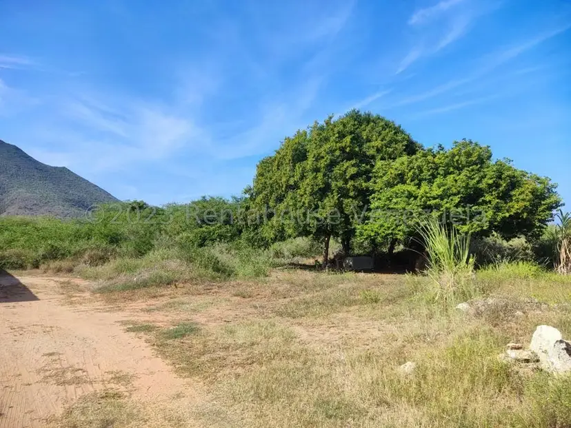 Terreno (Residencial) en Venta en Atamo Norte, Nueva Esparta