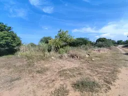 Vista 4