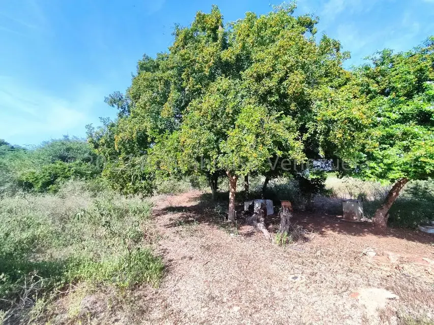 Terreno (Residencial) en Venta en Atamo Norte, Nueva Esparta - 6