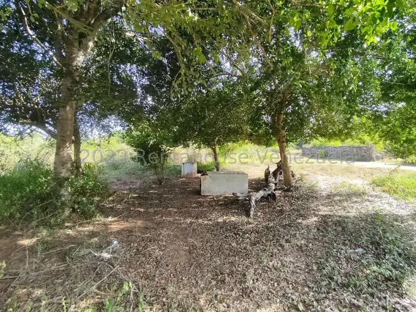Terreno (Residencial) en Venta en Atamo Norte, Nueva Esparta - 7