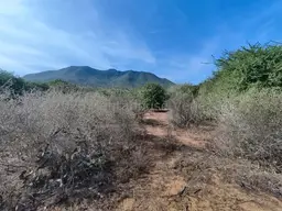 Vista 9